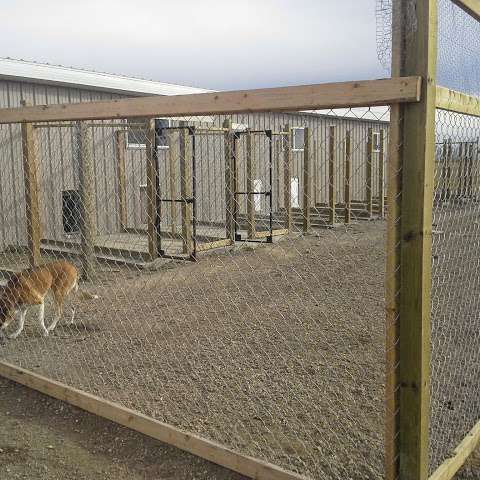 Paws and Claws Kennels